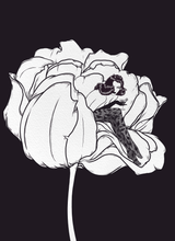 Load image into Gallery viewer, Art Print Spring Fever
